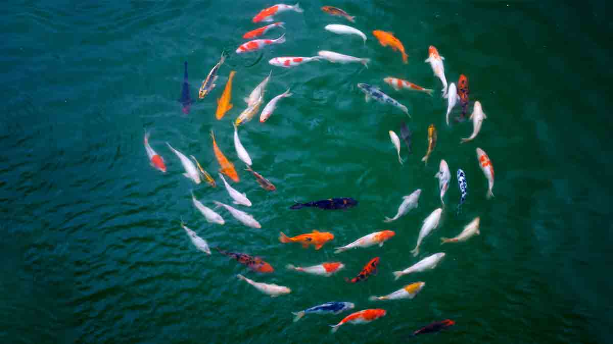 帶領你的團隊進行集體靜觀