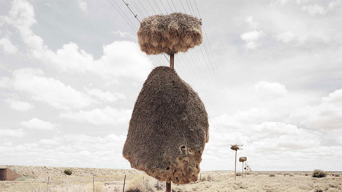 改寫團隊的「社會契約」