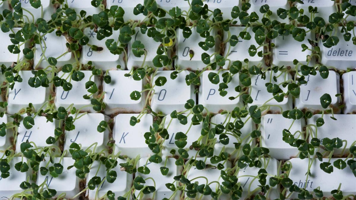 AI、永續發展、專案管理，你看到三方交匯蘊含龐大商機嗎？