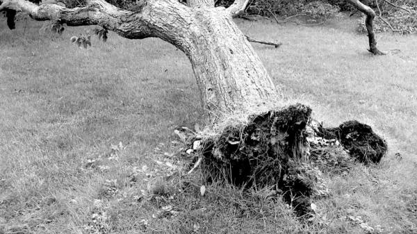 同事的精神出狀況…