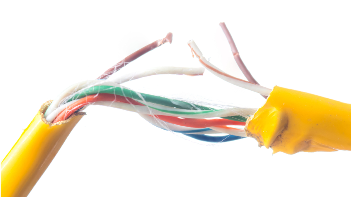 行銷總監：建立數位關係或等死