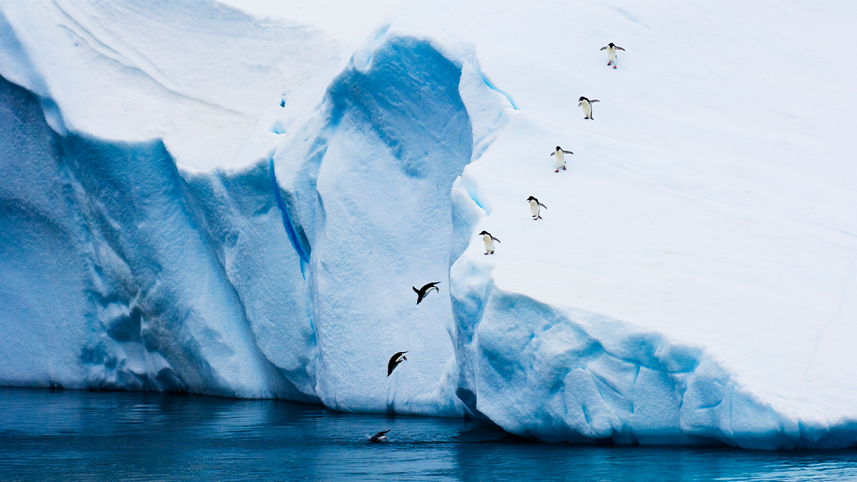 明星員工才辭職，就有人想跟著跑，怎麼辦？