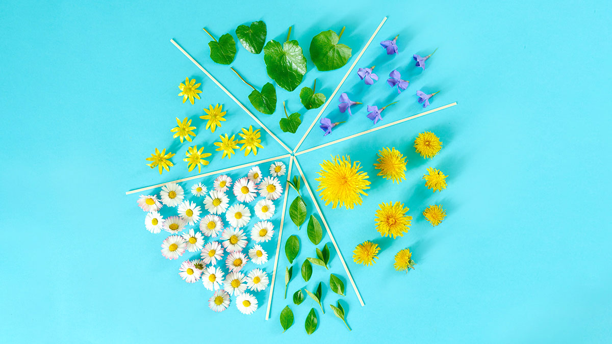 百事的淨零排放大計