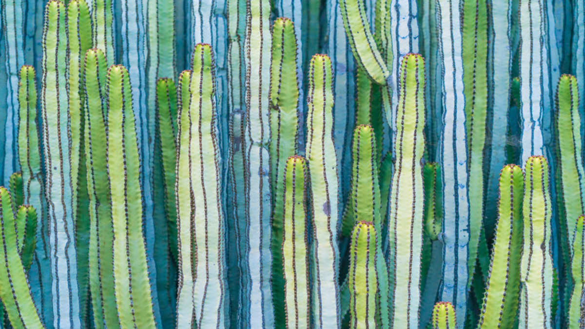 對員工要善待，但別總是太友好