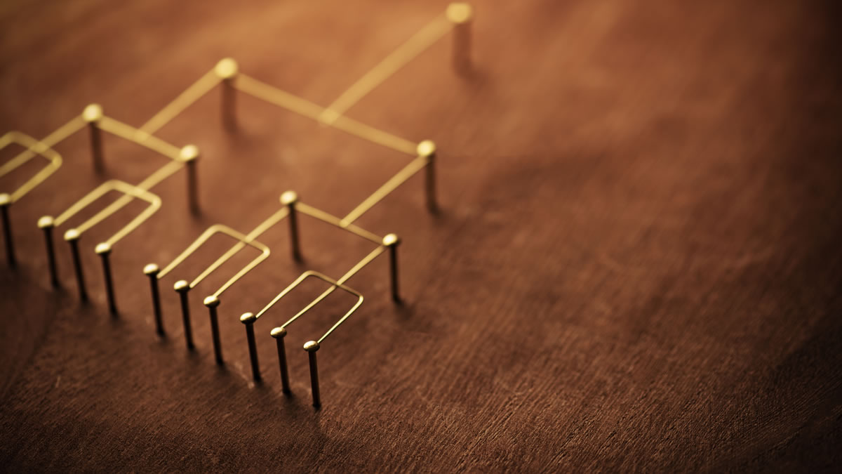 每個層級的領導人都需要的技能