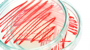 建立實驗文化：除了善用工具，更要翻轉態度