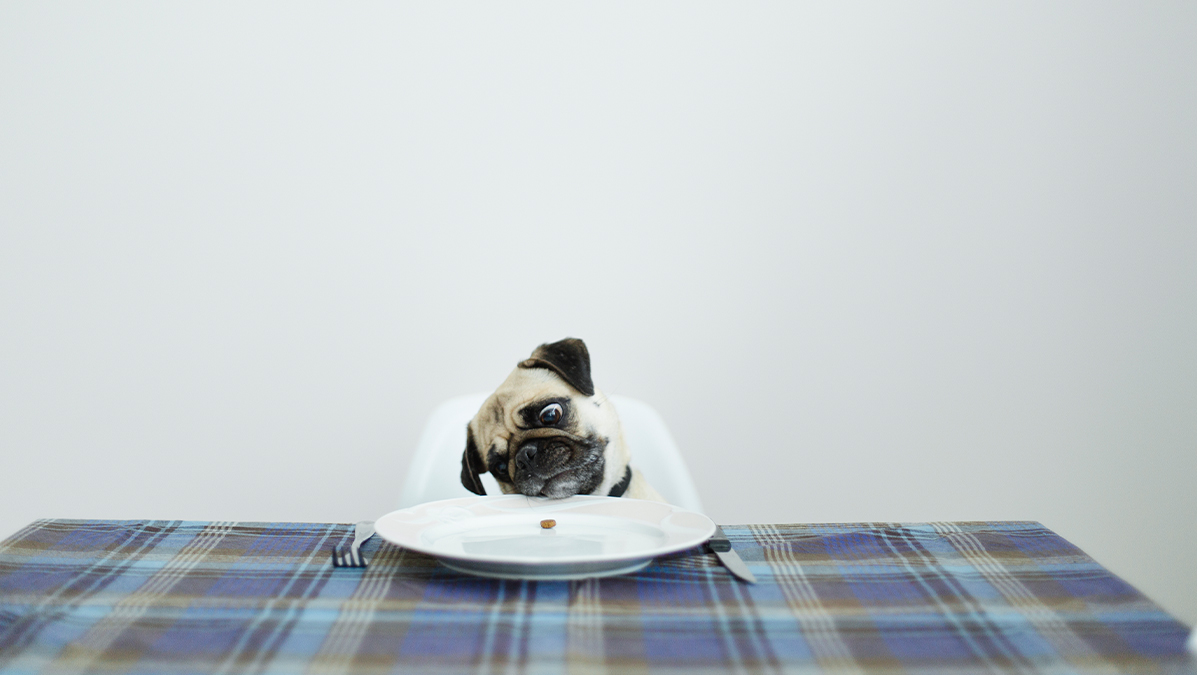 成為更有耐心的領導人