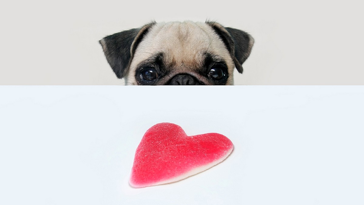 四大策略，讓你跟偶像接觸