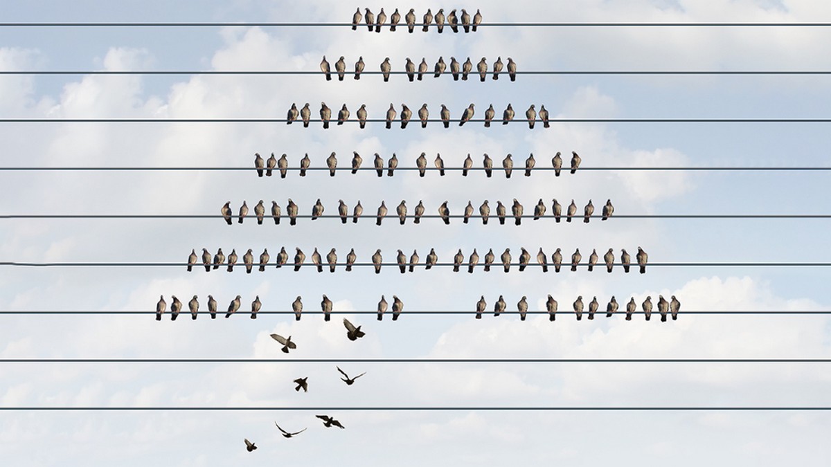 為何不該搶奪新人才？