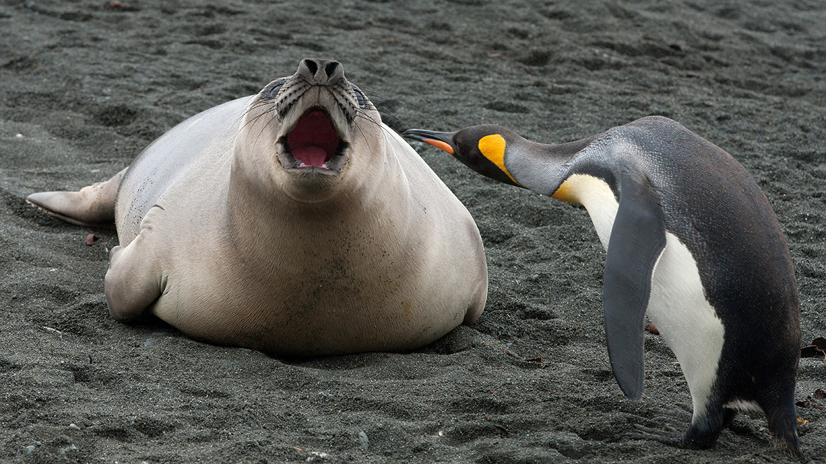 我沒時間！6招制止愛聊天的同事