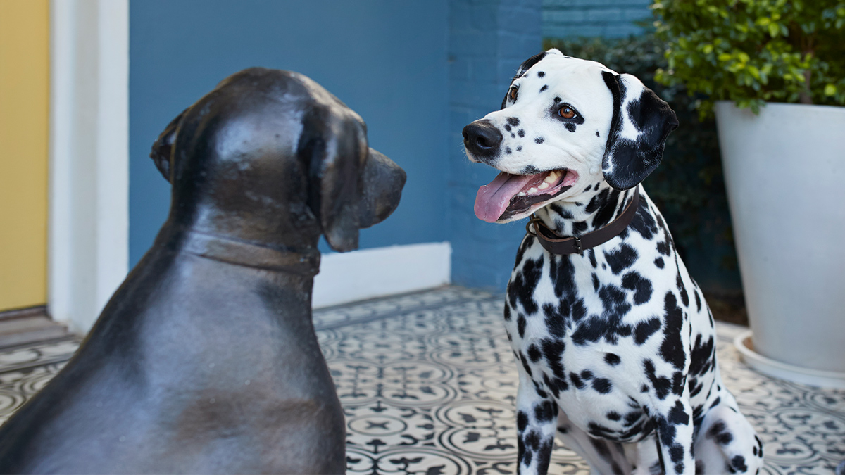 想跟同事熟起來？可以這麼做……