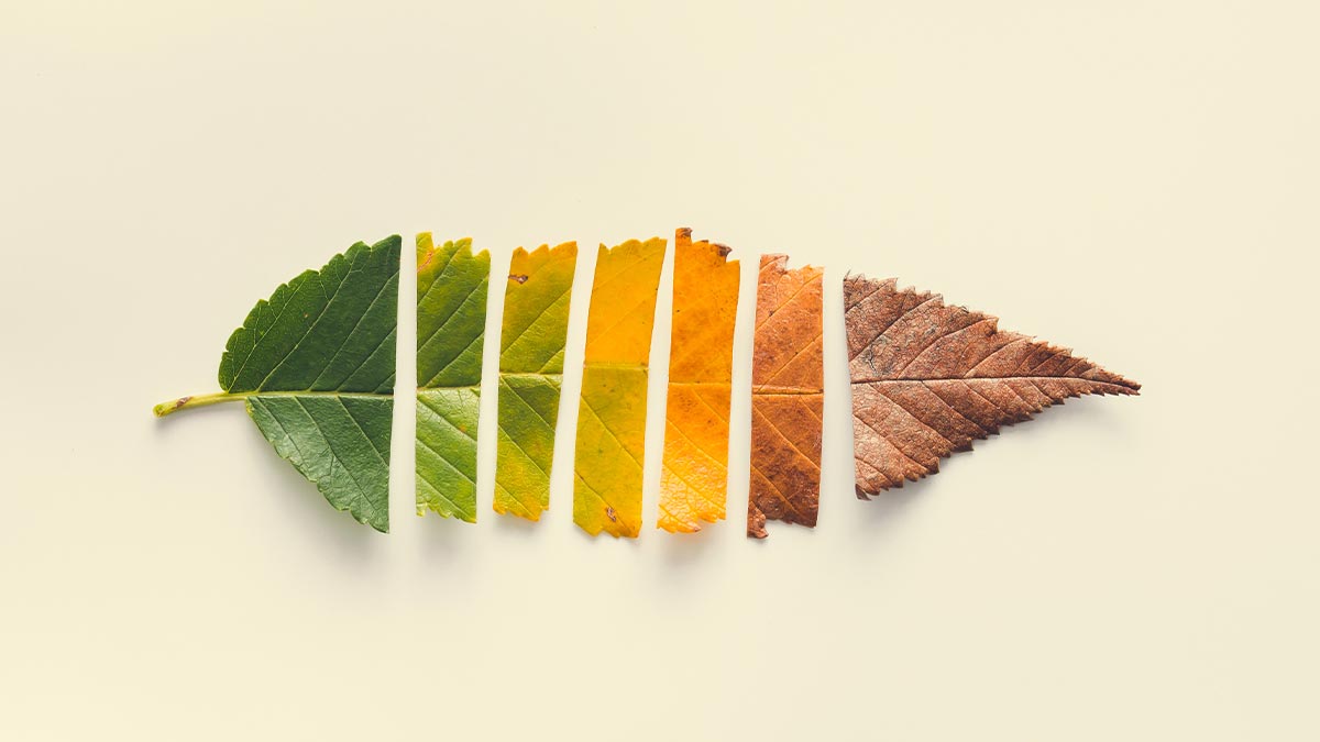 你如何衡量你的人生？