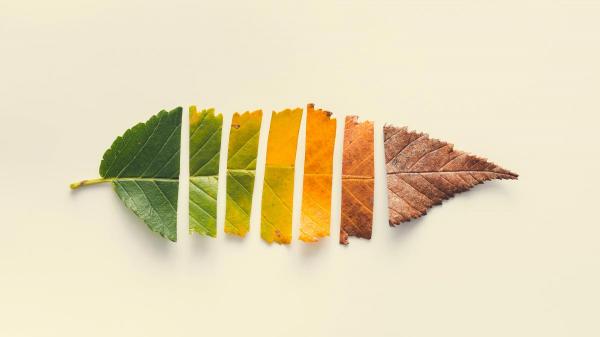 你如何衡量你的人生？