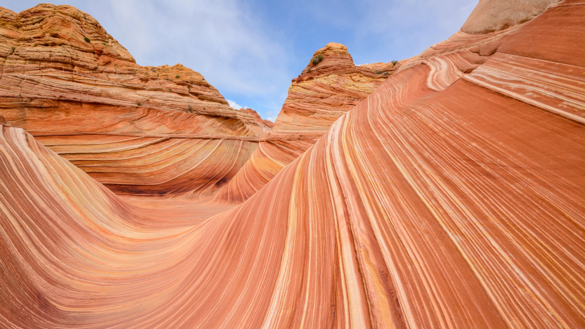 顧客區隔的新架構