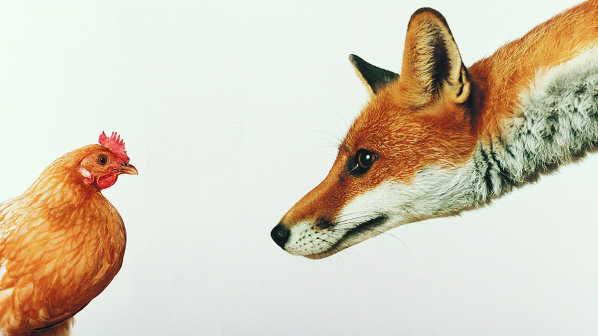 讓員工在開會時知無不言