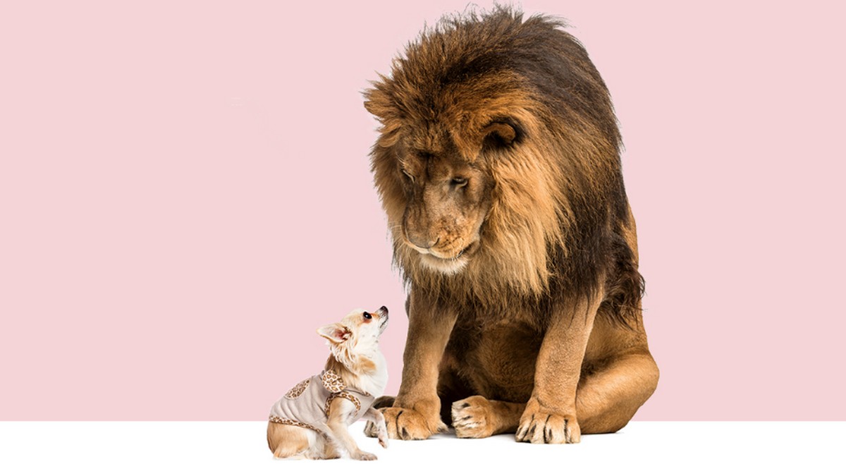 工作面談時，能與對方意見不同嗎？