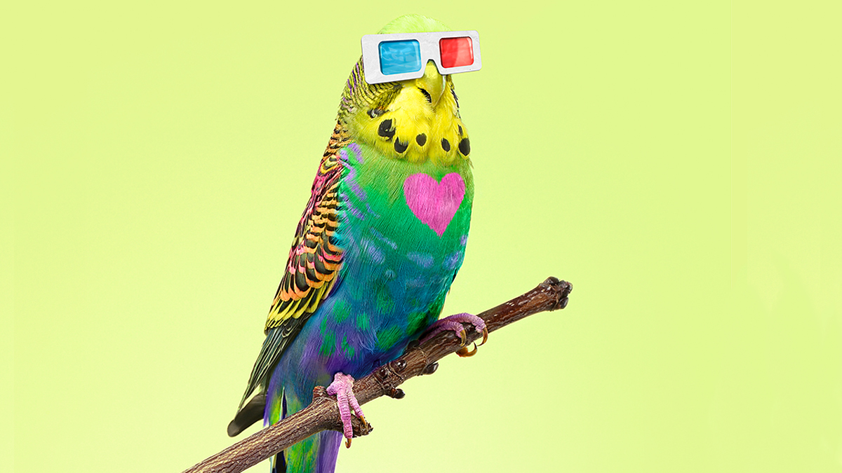 要改變思考方式，先改變觀察方式