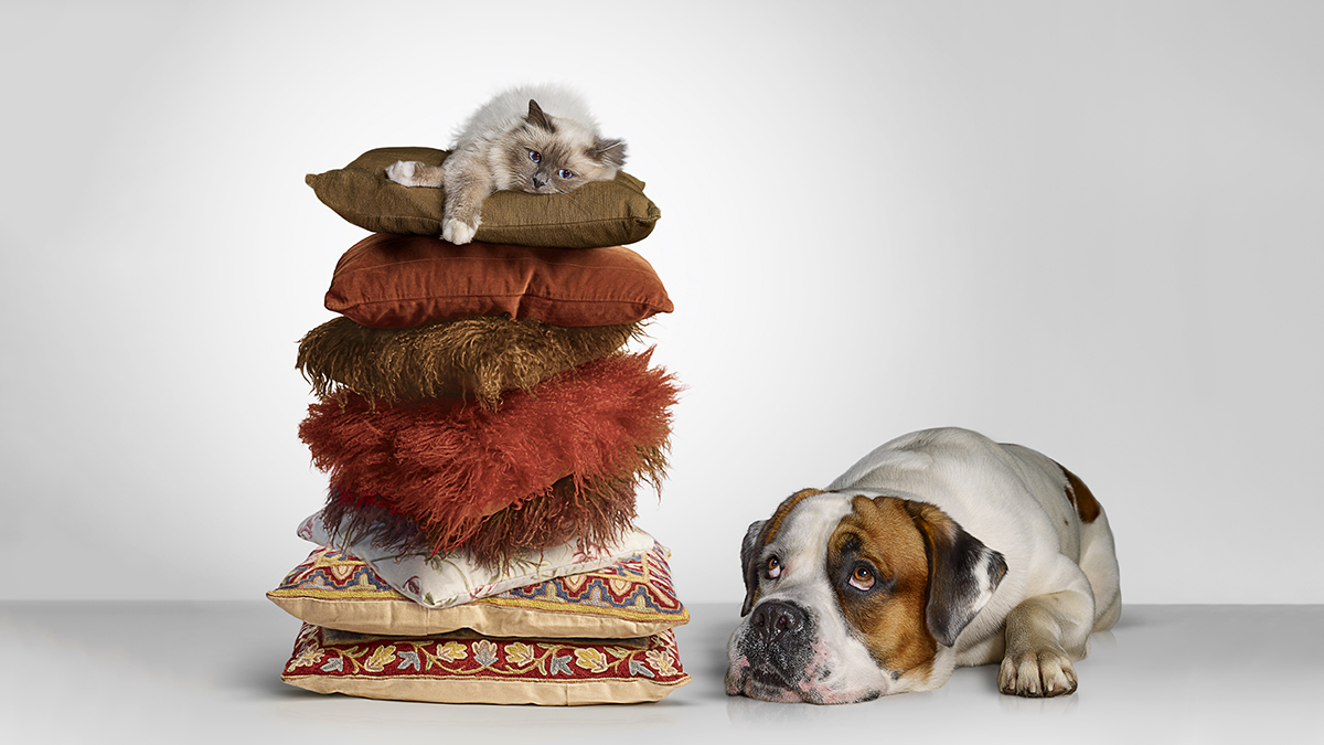 讓嫉妒成為職涯助力