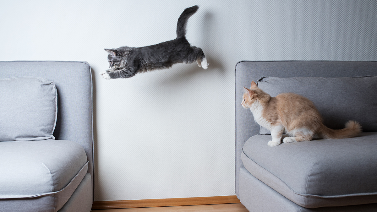 在不確定時期，自信領導的五大訣竅