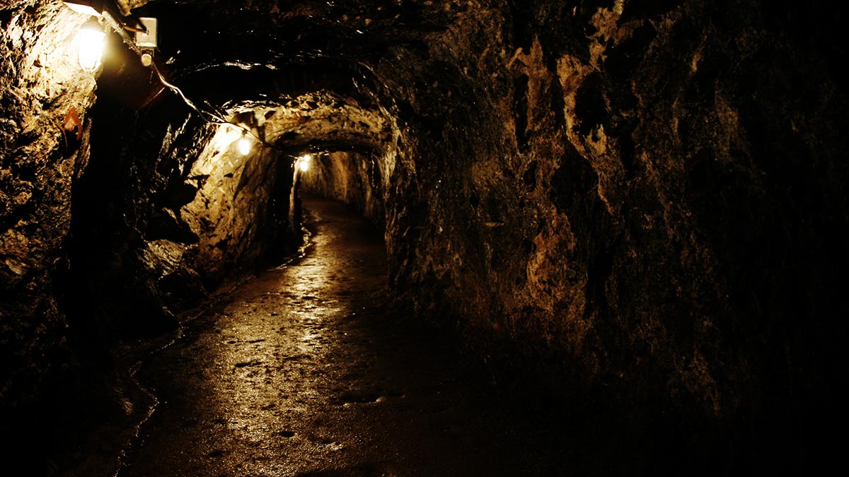 數位轉型的關鍵在員工，而不是科技