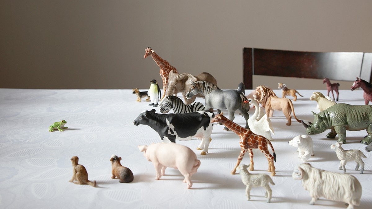 謙遜很重要，但領導人不需要？