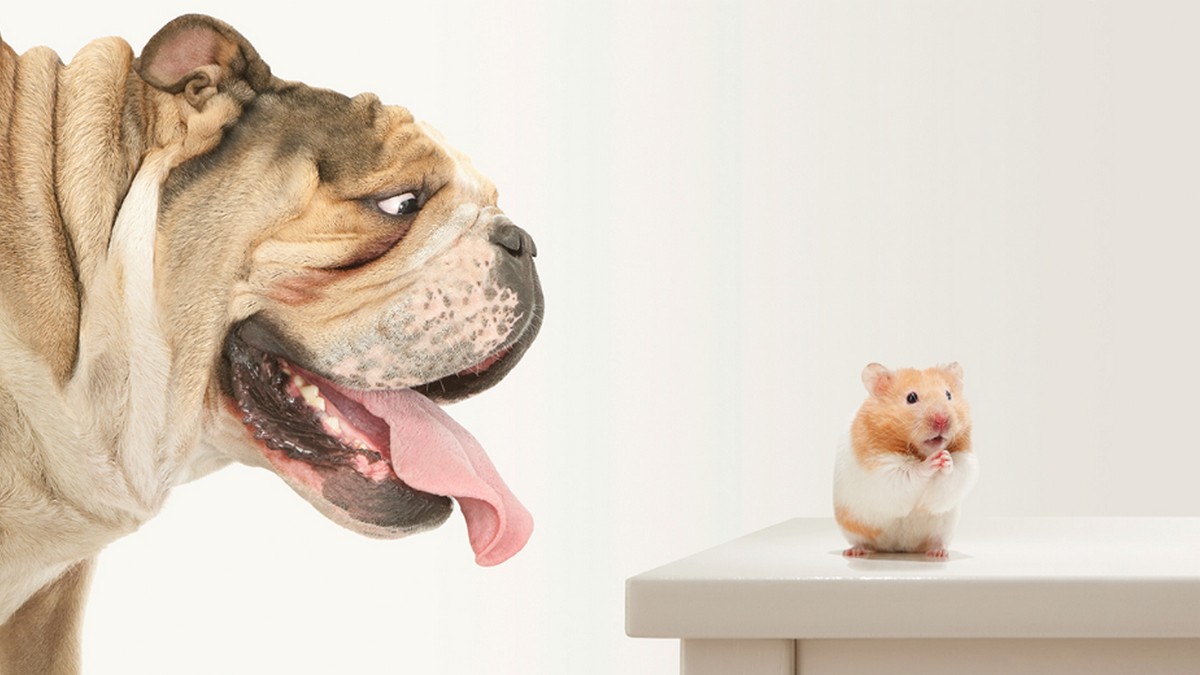 年輕銷售人員靠三步驟打動年長顧客