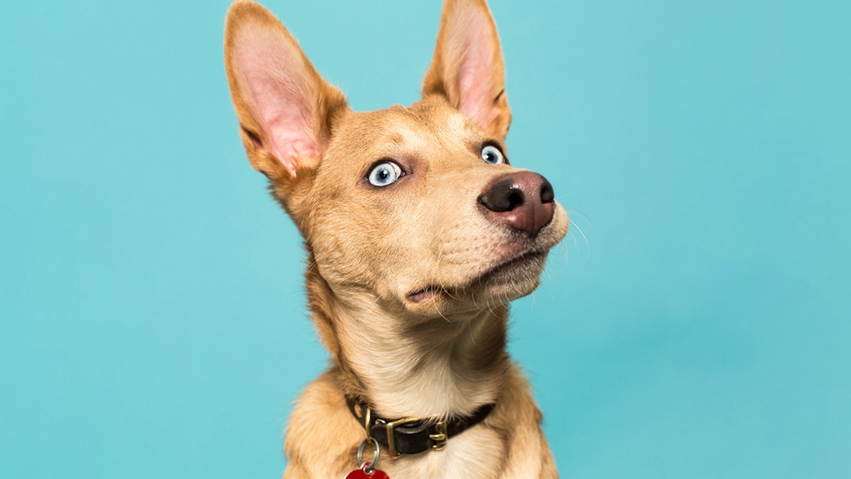 長官，你不知道自己多可怕