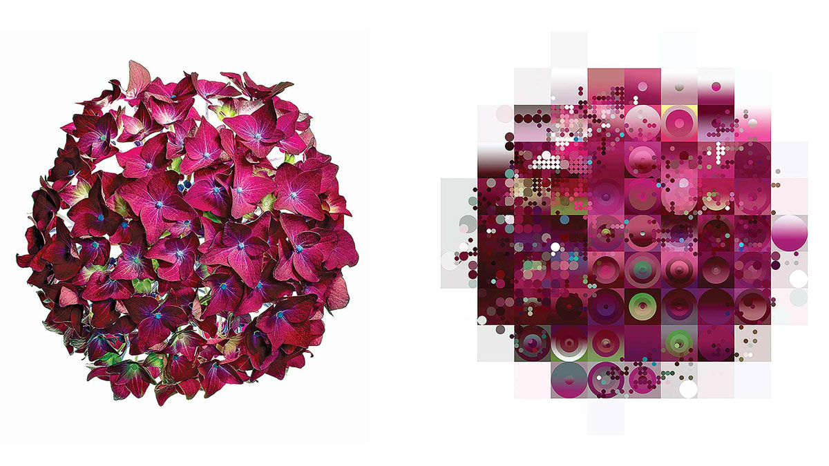 讓發現驅動數位轉型