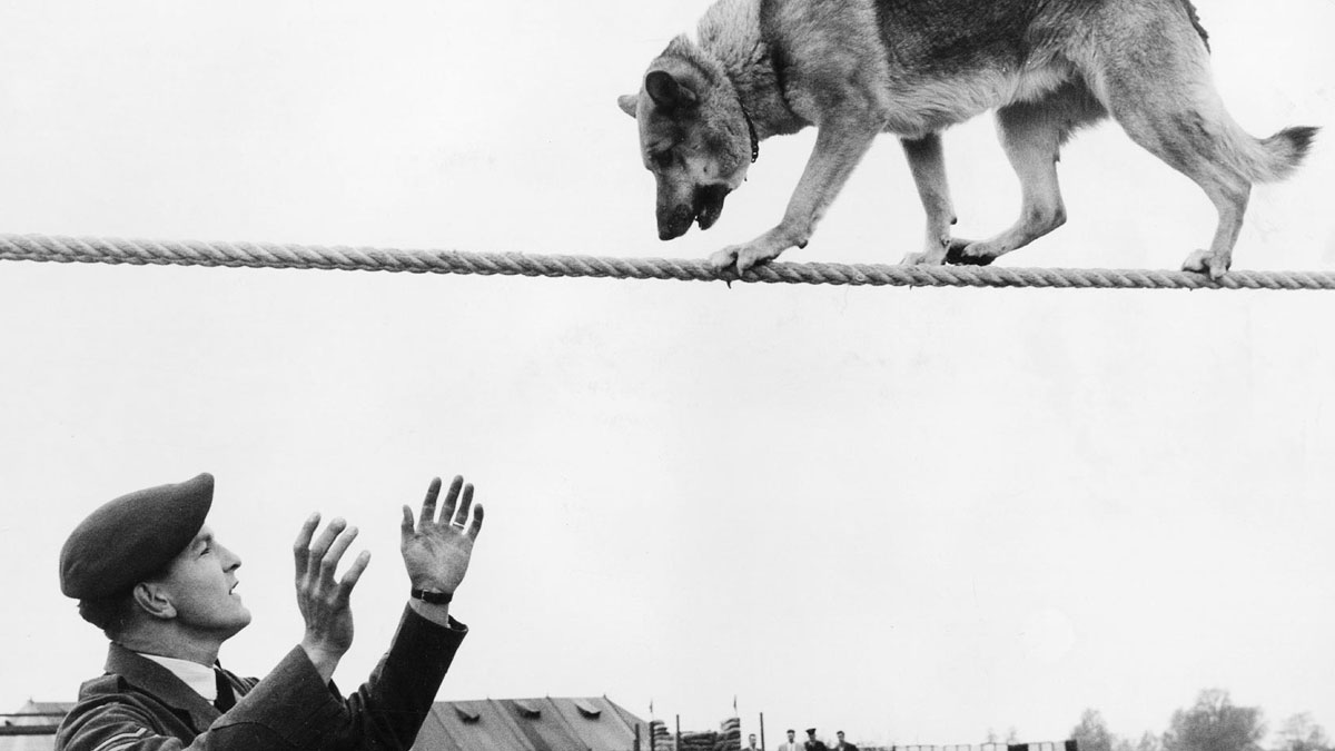 願景不是空中樓閣