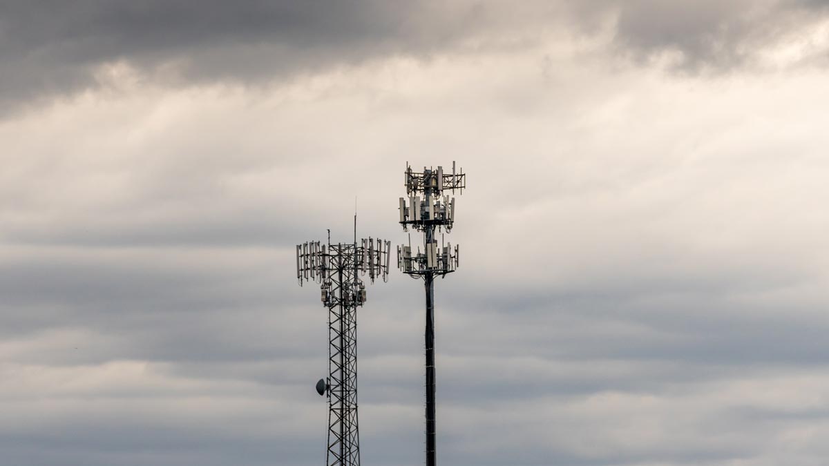 Nature's Charm / shutterstock