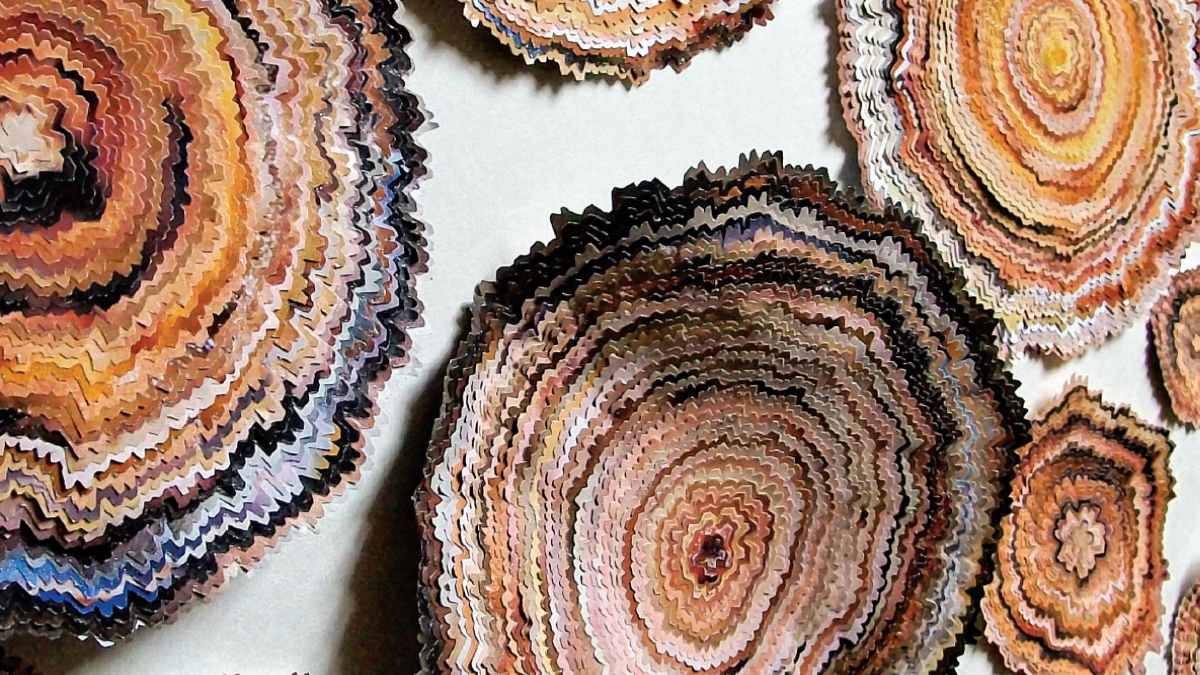 財務長的公益報表