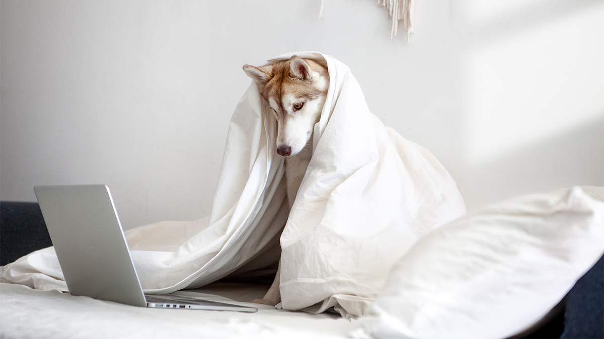 如何在混合式的工作環境設置學習計畫