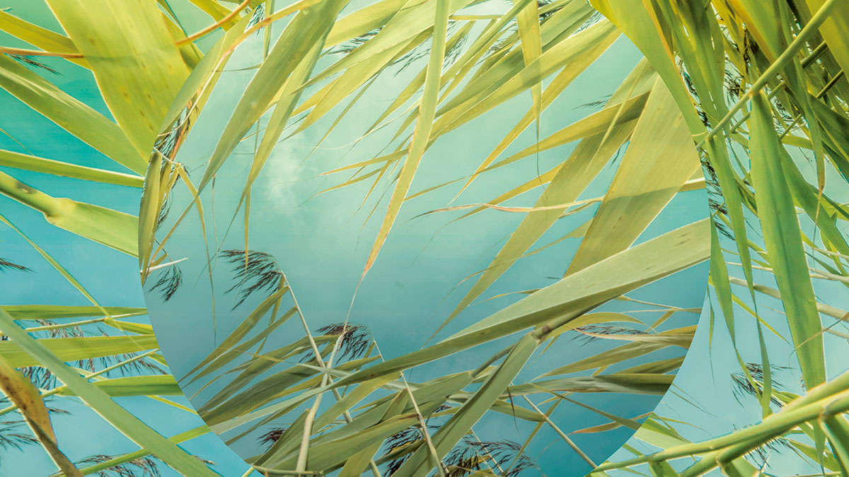 呼應永續行動，中階主管是關鍵推手