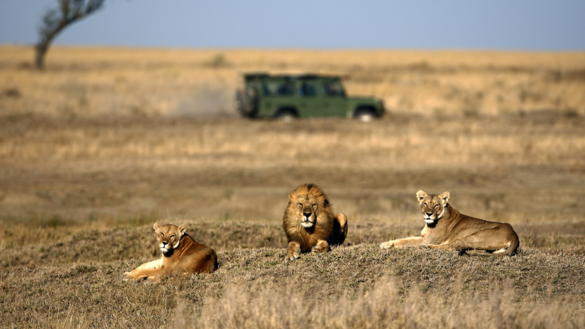 留意非洲的「中產階級」