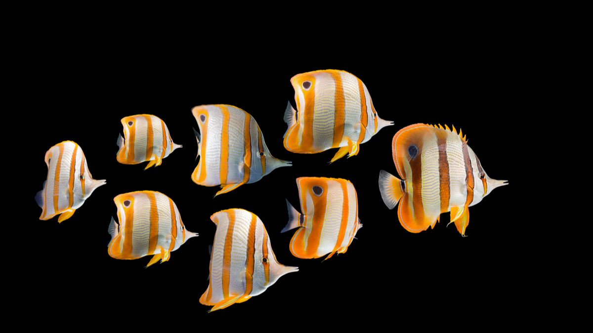 內部創業不孤單