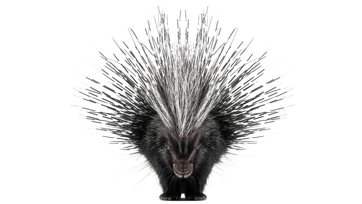 別讓受命共事的部門備感威脅》突破跨團隊合作盲點