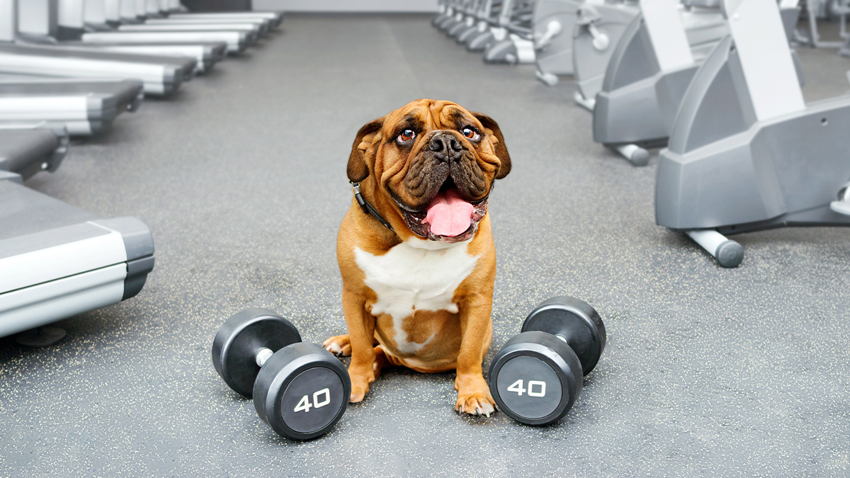 一項能幫助職涯成長的關鍵技能