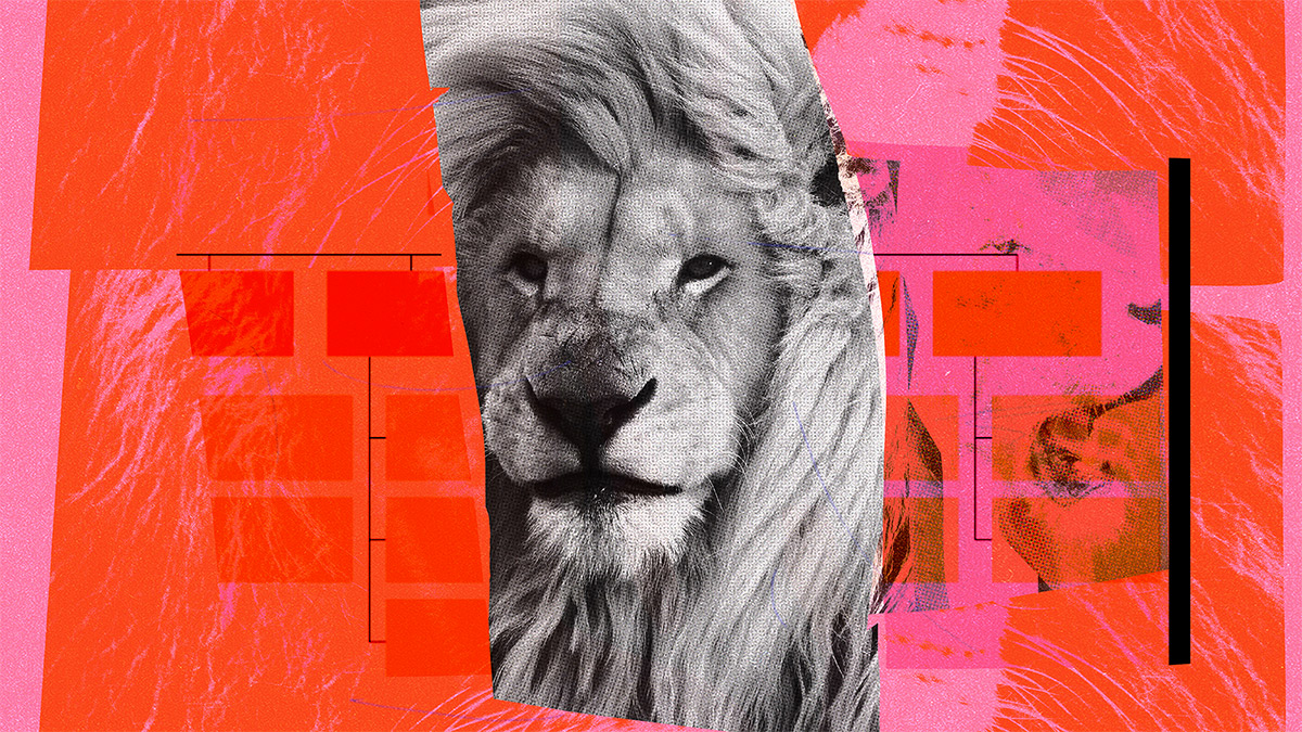 新官上任，請先看清你的自我品牌