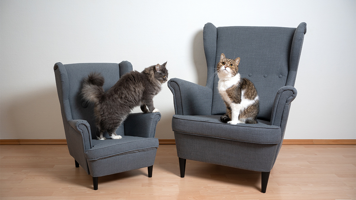 新創公司如何爭取關鍵的第二場會議？