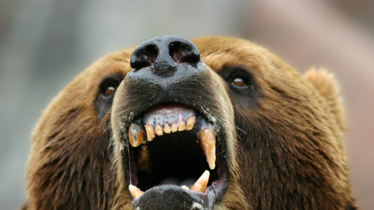 你的顧客在生氣嗎？