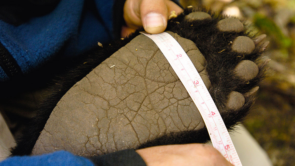 每家企業都該有成長經理