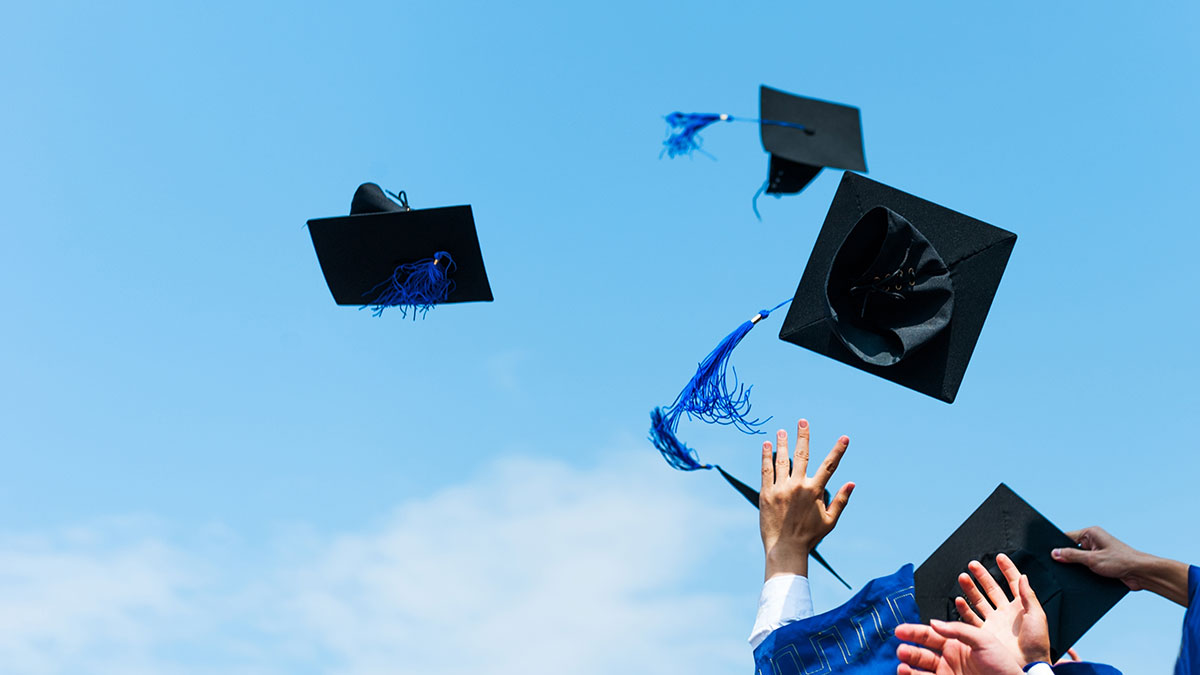 過量教育與兩腳書櫥