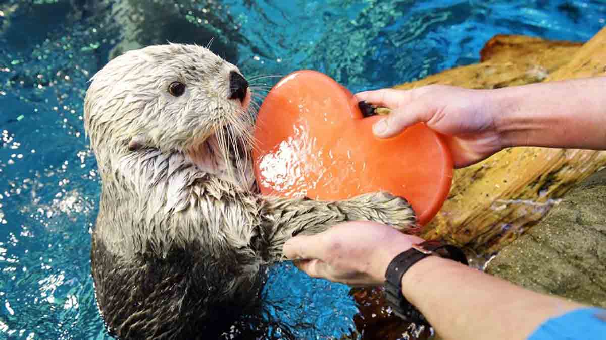 想從失敗中站起來，要學會善待自己