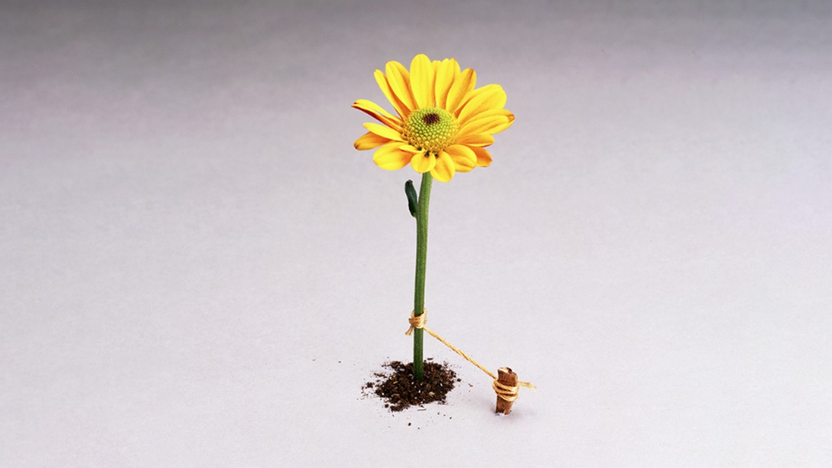 組織夠穩定，員工更賣力