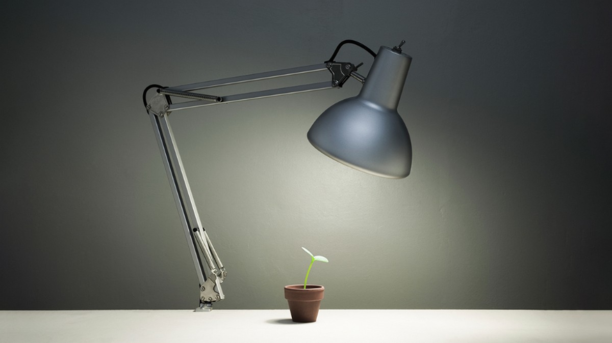 新創企業在成長，領導策略升級了嗎？