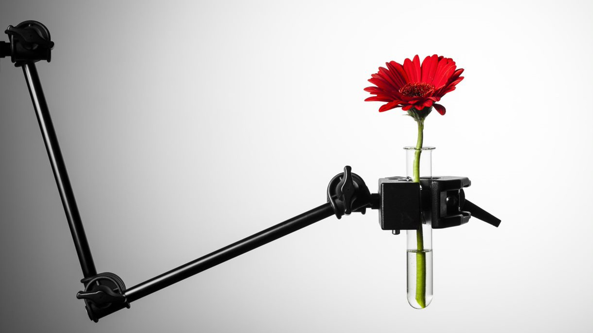 莫德納疫苗教我們玩創新！演化如何啟發商業運作？