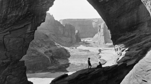 好奇造就叛逆人才