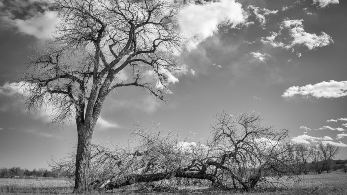 當優質管理事關生死