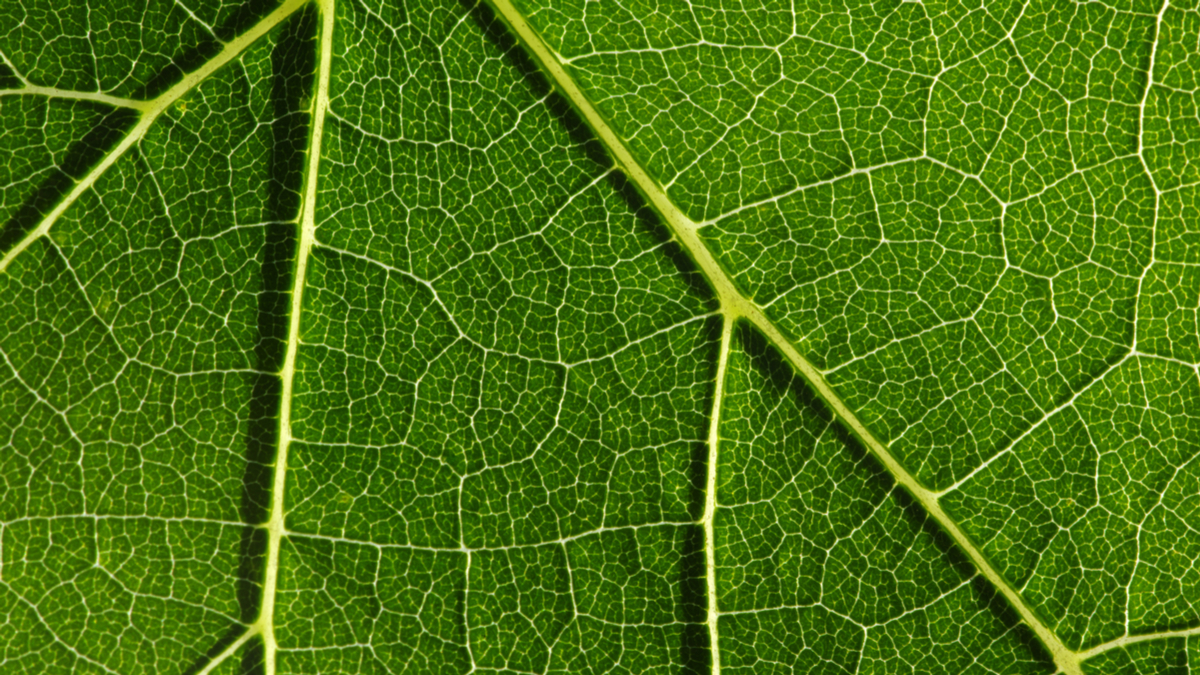 靠巨量資料取勝的公司，作法大不相同