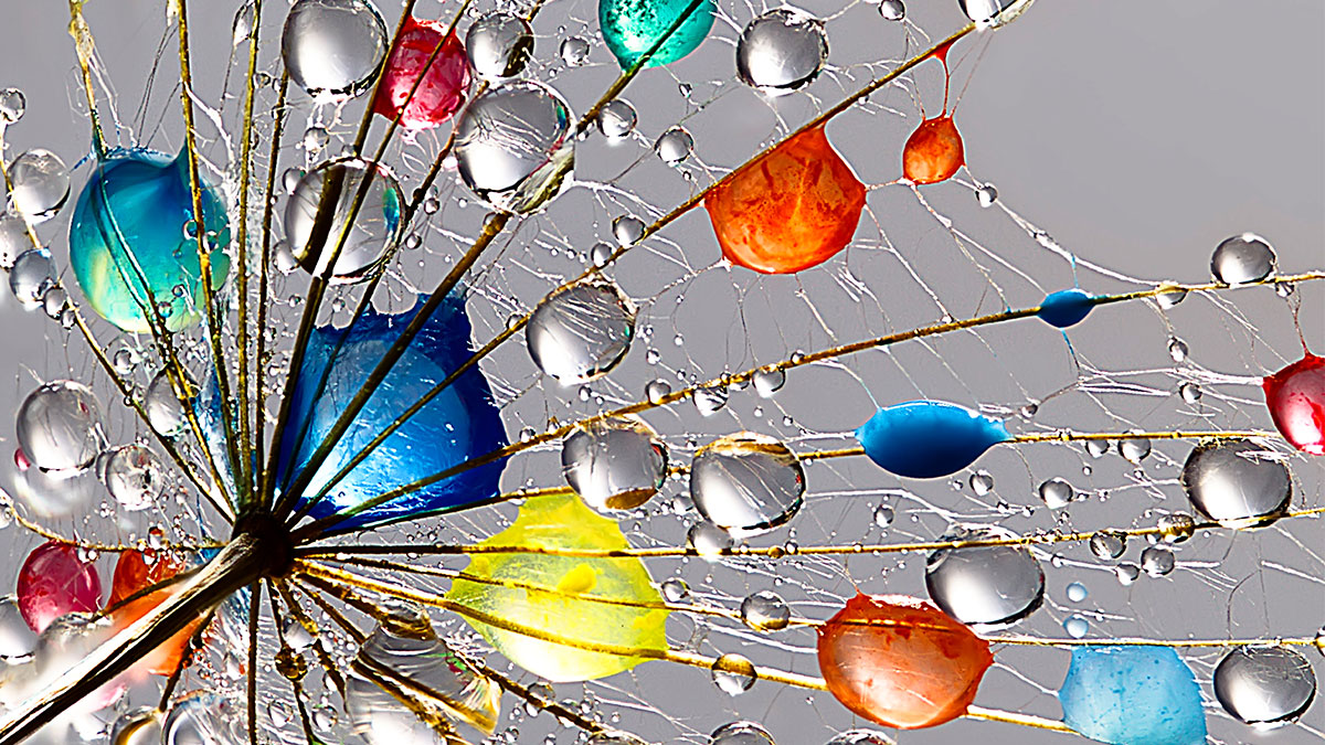 公益行銷的成功重點